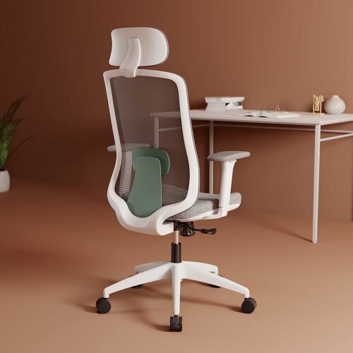 8 Best Ergonomic Chair in India under ₹20000 - Brand Scroll